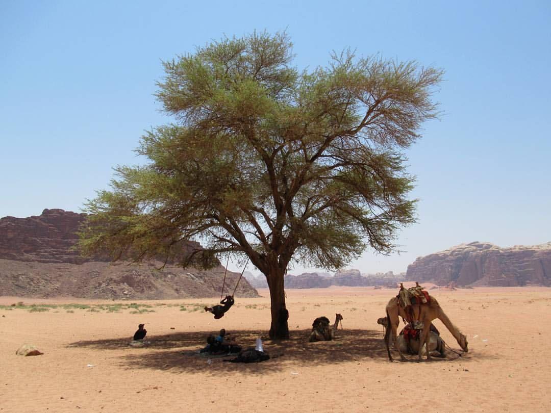 Climbers House In Wadi Rum Exterior photo